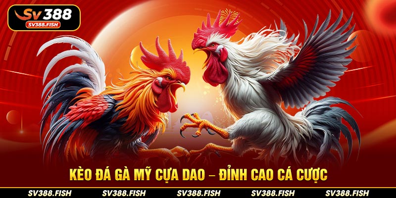 Kèo đá gà Mỹ cựa dao – Đỉnh cao cá cược