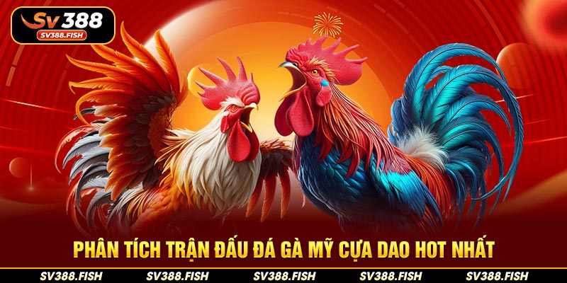 Phân tích trận đấu đá gà Mỹ cựa dao hot nhất