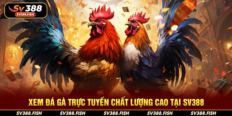 Xem đá gà trực tuyến chất lượng cao tại SV388